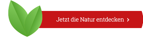 Jetzt die Natur entdecken